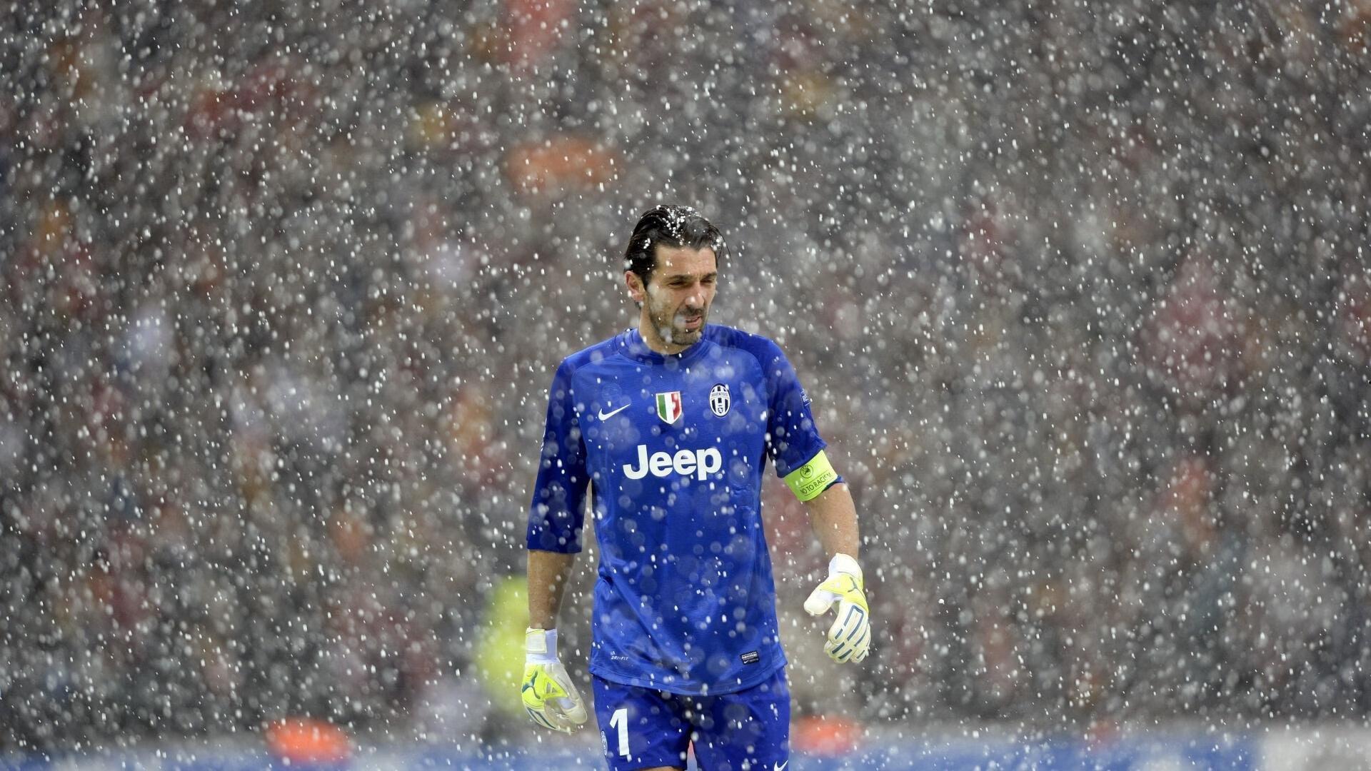 激情与归属,全球球迷文化如何塑造现代体育景观