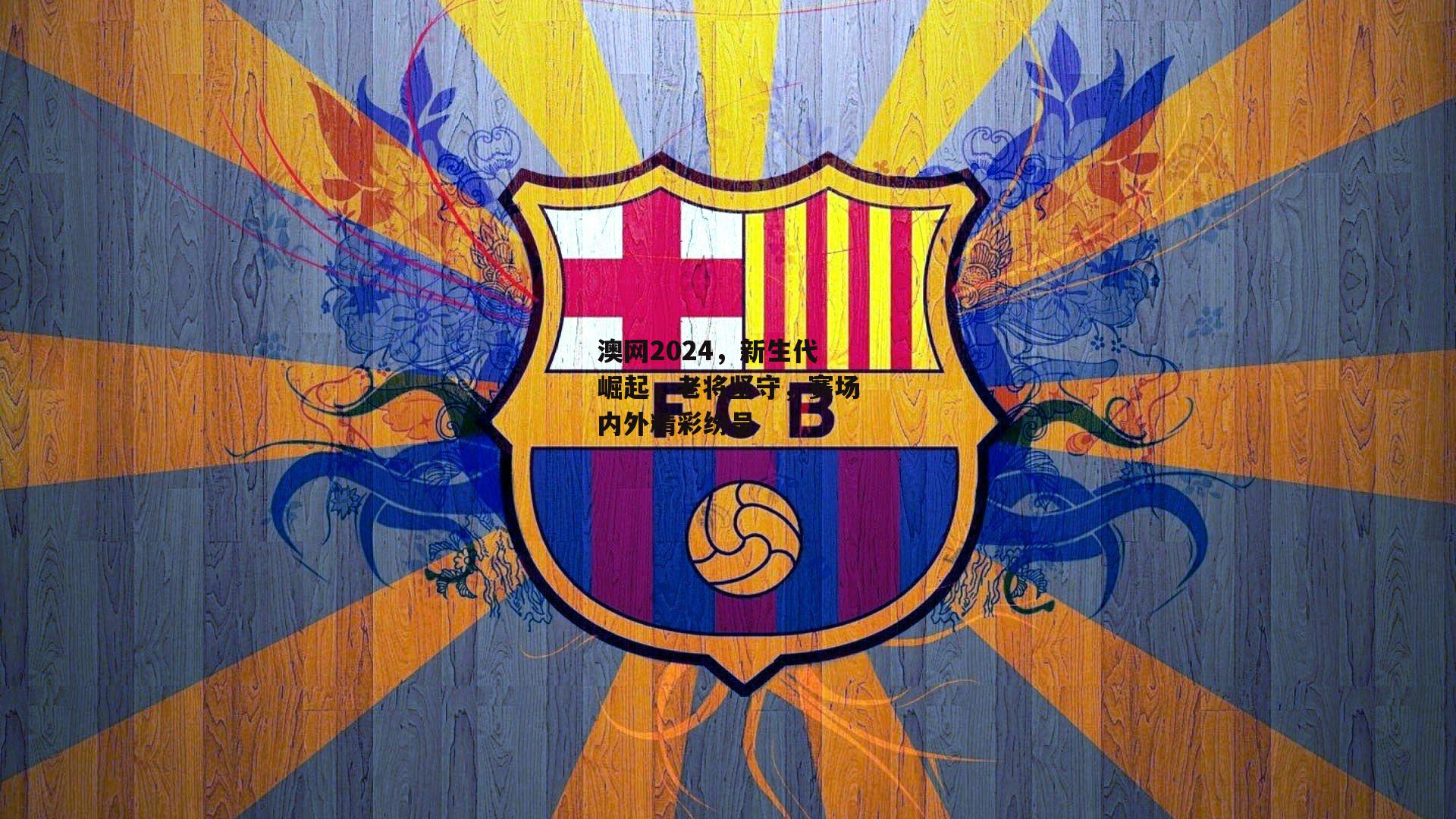 澳网2024,新生代崛起,老将坚守,赛场内外精彩纷呈